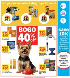 Meijer Weekly Ad week 29 Page 29
