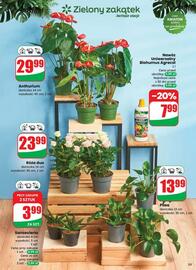 Dino gazetka tydzień 29 Strona 53
