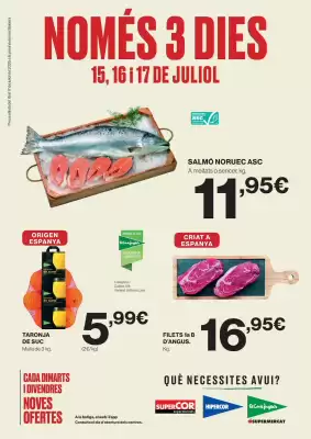 Folleto El Corte Inglés (válido hasta el 17-07)