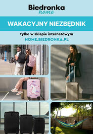 Biedronka gazetka tydzień 29 Strona 1