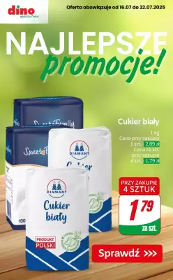Dino gazetka (ważność do 22-07)