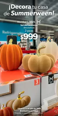 Catálogo Sam's Club (válido hasta 31-07)