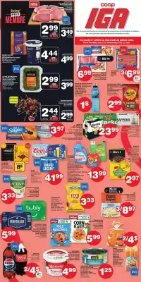 IGA flyer (valid until 23-07)