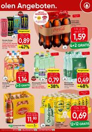 Spar Flugblatt Seite 17