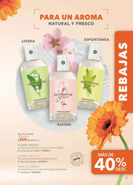 Catálogo Yves Rocher Página 17