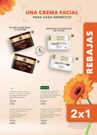Catálogo Yves Rocher Página 3