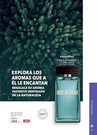Catálogo Yves Rocher Página 81