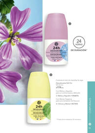 Catálogo Yves Rocher Página 95
