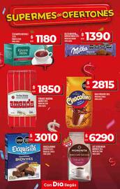Catálogo Supermercados DIA semana 29 Página 11