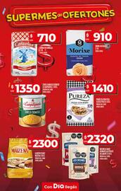 Catálogo Supermercados DIA semana 29 Página 12