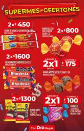 Catálogo Supermercados DIA semana 29 Página 13