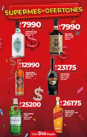Catálogo Supermercados DIA semana 29 Página 16