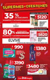 Catálogo Supermercados DIA semana 29 Página 18
