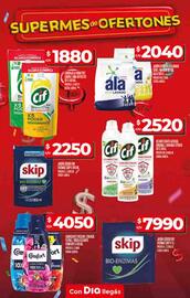 Catálogo Supermercados DIA semana 29 Página 19