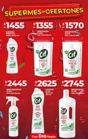Catálogo Supermercados DIA semana 29 Página 61