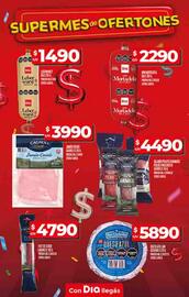 Catálogo Supermercados DIA semana 29 Página 9