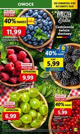 Lidl gazetka Strona 19