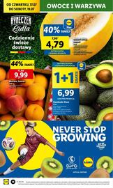 Lidl gazetka Strona 20