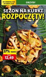 Lidl gazetka Strona 22
