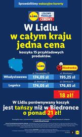 Lidl gazetka Strona 3