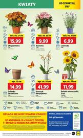Lidl gazetka Strona 57