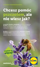 Lidl gazetka Strona 61