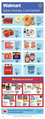 Walmart flyer (valid until 24-07)