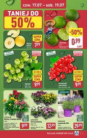 ALDI gazetka Strona 5