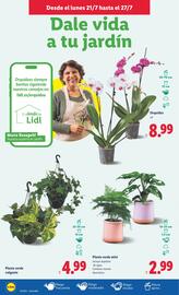 Folleto Lidl semana 30 Página 32