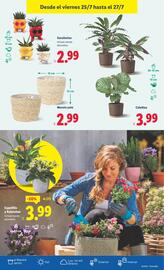 Folleto Lidl semana 30 Página 33