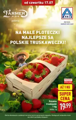 ALDI gazetka (ważność do 19-07)