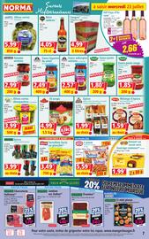 Catalogue Norma semaine 30 page 7