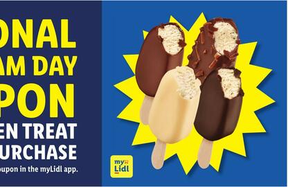 Lidl Weekly Ad week 29 Page 2