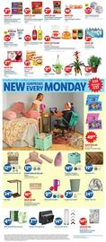 Lidl Weekly Ad week 29 Page 5