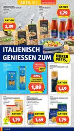 Hofer Flugblatt woche 29 Seite 10