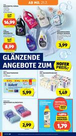 Hofer Flugblatt woche 29 Seite 24