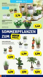 Hofer Flugblatt woche 29 Seite 34