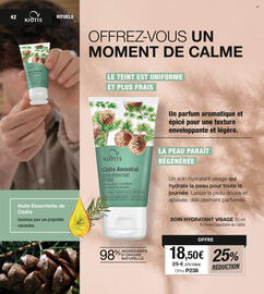 Catalogue Stanhome page 42