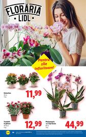 Catalog Lidl săptămâna 30 Pagină 50