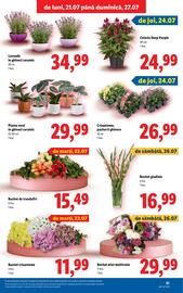 Catalog Lidl săptămâna 30 Pagină 51