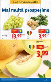 Catalog Lidl săptămâna 30 Pagină 9
