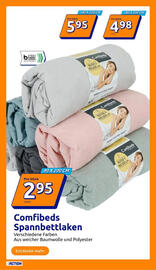 Action Prospekt woche 29 Seite 13