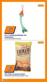 Action Flugblatt woche 29 Seite 16