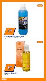 Action Flugblatt woche 29 Seite 19