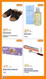 Action Flugblatt woche 29 Seite 23
