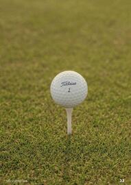 The Golfers Club catalogue Page 33