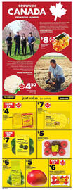 Zehrs Markets flyer week 29 Page 10