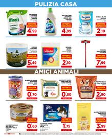 Volantino Gran mercato Pagina 19