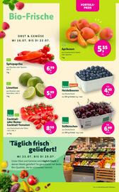Tjaden's Bio Frischemarkt Prospekt Seite 6
