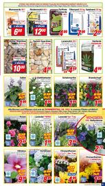 CENTERSHOP Prospekt woche 30 Seite 5